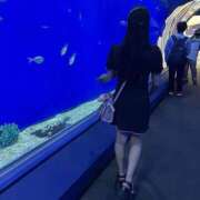 ヒメ日記 2025/09/19 19:09 投稿 ノア(黒髪清楚ロリ) ペロ×2キャンディ