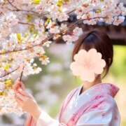 森下ひかり 桜ソング 五十路マダム エクスプレス京都店