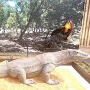 ヒメ日記 2026/04/18 10:44 投稿 森下ひかり 五十路マダム エクスプレス京都店