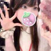 ヒメ日記 2026/01/15 16:05 投稿 篠宮　あまね 現役ナースが精液採取に伺います 梅田店