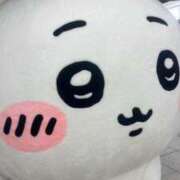 ヒメ日記 2025/08/07 22:44 投稿 きい 渋谷じゃっくす