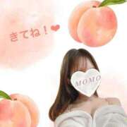 ヒメ日記 2025/10/10 18:45 投稿 もも 至福の密着エステ&禁断のM性感 Luxeaz