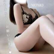 ヒメ日記 2026/08/12 13:00 投稿 もも 至福の密着エステ&禁断のM性感 Luxeaz