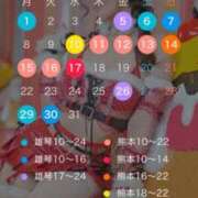 一ノ瀬あすな 12月のスケジュール🗓 ゴールドクイーン