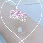 ヒメ日記 2025/11/14 16:19 投稿 あずみ★ レースクィーン