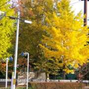 ヒメ日記 2025/11/16 14:45 投稿 あずみ★ レースクィーン