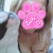 ヒメ日記 2025/12/07 12:54 投稿 あずみ★ レースクィーン