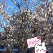 ヒメ日記 2026/02/10 09:10 投稿 あずみ★ レースクィーン