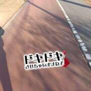 ヒメ日記 2026/02/19 12:30 投稿 あずみ★ レースクィーン