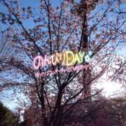 ヒメ日記 2026/03/04 21:00 投稿 あずみ★ レースクィーン