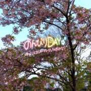 ヒメ日記 2026/03/16 20:47 投稿 あずみ★ レースクィーン