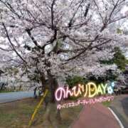 ヒメ日記 2026/03/30 19:50 投稿 あずみ★ レースクィーン