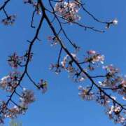 ヒメ日記 2026/04/09 09:34 投稿 あずみ★ レースクィーン