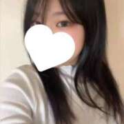 ヒメ日記 2025/12/14 14:39 投稿 すずめ IRIS(岐阜)