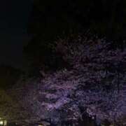 ヒメ日記 2026/04/26 22:56 投稿 すずめ IRIS(岐阜)