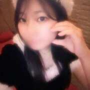 ヒメ日記 2025/12/16 19:32 投稿 すずめ IRIS一宮