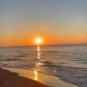 ヒメ日記 2026/01/05 19:23 投稿 すずめ IRIS一宮