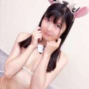 ヒメ日記 2025/07/19 20:30 投稿 ゆゆ ニューティアラ