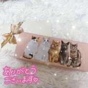 ヒメ日記 2026/01/26 19:19 投稿 東条みさ 池袋パラダイス