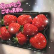 ヒメ日記 2026/02/10 07:09 投稿 東条みさ 池袋パラダイス