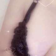 ヒメ日記 2025/07/17 16:01 投稿 ゆうき 今こそ!にゃんにゃん学園