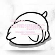 ヒメ日記 2026/01/26 11:39 投稿 なつき☆未経験超可愛いピュア清楚 PREMIUM萌え可愛いチョコレート～全てのステージで感動の体験を～