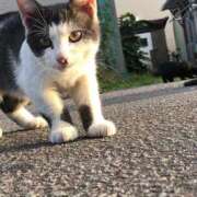 ヒメ日記 2025/11/19 00:28 投稿 こなつ【リアル18歳♪】 ソープランド看護学院ディエックス