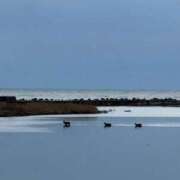 ヒメ日記 2025/11/19 13:31 投稿 こなつ【リアル18歳♪】 ソープランド看護学院ディエックス