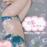 ヒメ日記 2025/07/19 10:02 投稿 はなび 奥様特急長岡店