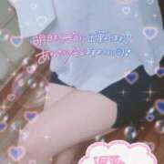 ヒメ日記 2025/08/25 04:41 投稿 はなび 奥様特急長岡店