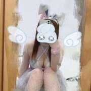 にこ 🎀明日🎀 秋葉原コスプレ学園in仙台