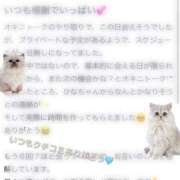 ヒメ日記 2025/12/09 02:28 投稿 ☆ひな☆ club MUTEKI