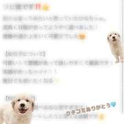 ヒメ日記 2025/12/09 02:43 投稿 ☆ひな☆ club MUTEKI