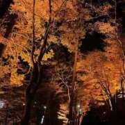 ヒメ日記 2025/10/08 12:49 投稿 Miu【みう】～櫻華～ 九州熟女　熊本店