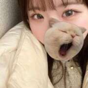 ヒメ日記 2025/12/04 00:44 投稿 ゆうり 東京リップ 池袋店