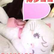 ヒメ日記 2026/01/24 13:07 投稿 ランマル 【福岡デリヘル】20代・30代★博多で評判のお店はココです！