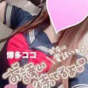 ヒメ日記 2026/08/09 11:24 投稿 ランマル 【福岡デリヘル】20代・30代★博多で評判のお店はココです！