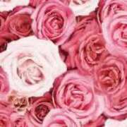 ヒメ日記 2025/08/12 14:23 投稿 まお☆極上ふわふわおっぱい 愛ドル学園　☆制服着たまま部☆