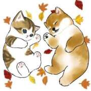 ヒメ日記 2025/10/25 11:10 投稿 まお☆極上ふわふわおっぱい 愛ドル学園　☆制服着たまま部☆