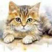 ヒメ日記 2025/11/14 10:30 投稿 まお☆極上ふわふわおっぱい 愛ドル学園　☆制服着たまま部☆