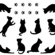 ヒメ日記 2026/02/08 09:45 投稿 まお☆極上ふわふわおっぱい 愛ドル学園　☆制服着たまま部☆