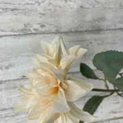 ヒメ日記 2025/07/21 09:03 投稿 浅野 HERMINE-エルミネ-