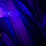 ヒメ日記 2025/07/29 09:53 投稿 浅野 HERMINE-エルミネ-