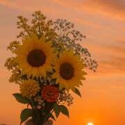 ヒメ日記 2025/07/30 19:20 投稿 浅野 HERMINE-エルミネ-