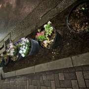 ヒメ日記 2025/08/01 22:06 投稿 浅野 HERMINE-エルミネ-