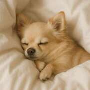 ヒメ日記 2025/08/11 23:54 投稿 浅野 HERMINE-エルミネ-