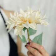 ヒメ日記 2025/08/12 19:08 投稿 浅野 HERMINE-エルミネ-