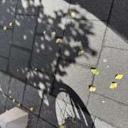 ヒメ日記 2025/09/06 13:13 投稿 浅野 HERMINE-エルミネ-