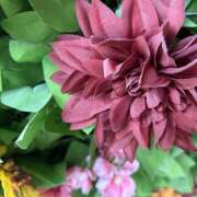 ヒメ日記 2025/09/27 18:19 投稿 浅野 HERMINE-エルミネ-