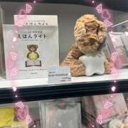 ヒメ日記 2025/10/02 21:26 投稿 浅野 HERMINE-エルミネ-